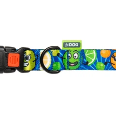Hi Dog Нашийник для собаки HiDOG Crazy blue fruits XS 10мм 18-28см (106/1058)