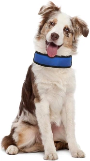 Охолоджуючий нашийник для собак 50*6 см Croci Harness Fresh синій
