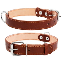 Нашийник для собак Collar подвійний шкіряний плоский коричневий з прикрасами розмір M ширина 25 мм довжина 38-50 см стаффордширських тер'єрів лабрадорів боксерів шарпеїв 02296