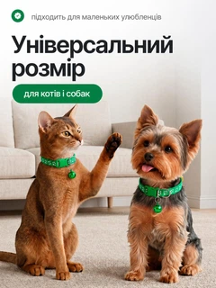 Без бренда Нашийник для котів і собак з дзвіночком, регульований 19–31 см, нейлоновий, для малих порід, з кріпленням для повідка (зелений)
