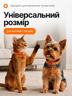 Без бренда Нашийник для котів і собак з дзвіночком, регульований 19–31 см, нейлоновий, для малих порід, з кріпленням для повідка (помаранчевий)