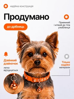 Без бренда Нашийник для котів і собак з дзвіночком, регульований 19–31 см, нейлоновий, для малих порід, з кріпленням для повідка (помаранчевий)