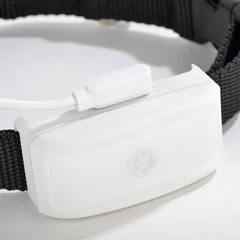 Без бренда GPS нашийник TK 911 mini