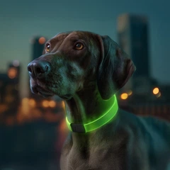 Нашийник для собак з підсвічуванням WAUDOG LED RGB Type-C регульований Ш 25 мм Дов 60 см