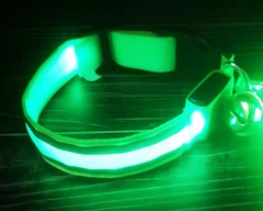 Без бренду Нашийник для собак та котів для вечірніх прогулянок з USB зарядкою Зелений