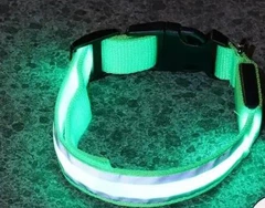 Без бренду Нашийник для собак та котів для вечірніх прогулянок з USB зарядкою Зелений