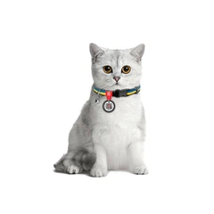 Collar Нашийник для котів нейлоновий WAUDOG Nylon з QR паспортом, малюнок "Colors of freedom", пластиковий фастекс, XS, Ш 10 мм, Дов