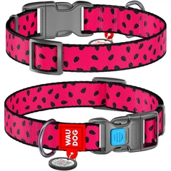 Нашийник для собак нейлоновий WAUDOG Nylon з QR паспортом, малюнок "Кавун" 37-58 см 25 мм (4779)