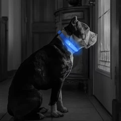 Світлодіодний нашийник для собак Petify Luminous LED Collar L блакитне небо, що світиться в темряві, 3 режими світіння, видимість до 100 м, регульований 41-54 см, поліестер, від батарейки, Арт. XN4074