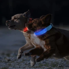 Світлодіодний нашийник для собак Petify Luminous LED Collar L блакитне небо, що світиться в темряві, 3 режими світіння, видимість до 100 м, регульований 41-54 см, поліестер, від батарейки, Арт. XN4074