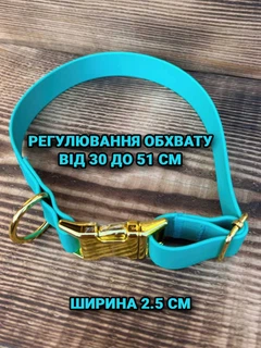 Без бренда Нашийник для собак біотановий із металевою фурнітурою 30-51 см колір бірюзовий