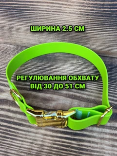 Без бренда Нашийник для собак біотановий із металевою фурнітурою 30-51 см колір Зелений неон