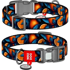 Нашийник для котів нейлоновий WAUDOG Nylon з QR паспортом, малюнок "Апельсини", пластиковий фастекс, XS, Ширина 10 мм, Довжина 20-30 смА