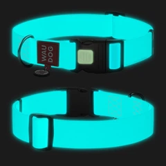 Collar Нашийник для собак водостійкий WAUDOG Waterproof c QR паспортом, пластиковий фастекс, що світиться, XXL, Ш 40 мм, Дл 46-70 см