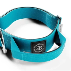 Тактичний нашийник з ручкою для собак BullyBillows Combat Collar Handle 4 cm L: 40 мм, ОШ 48-66 см Блакитний