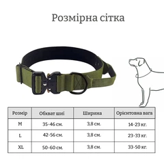 Без бренду Нашийник для собак з металевою застібкою Кобра та ручкою зелений XL (50-60 см)