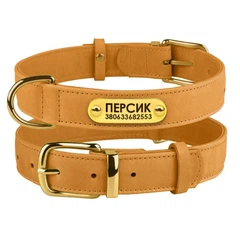 Нашийник для Собак Шкіряний BronzeDog Crazy Голд 2XS 10 мм 19-25 см (004280)