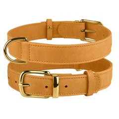 Нашийник для Собак Шкіряний BronzeDog Crazy Голд 2XS 10 мм 19-25 см (004280)