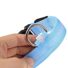 Xtep Нашийник LED світиться для собак і кішок Blue Size S шия 34-41 см ширина 2,5, повна довжина 44 см