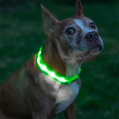 Світлодіодний LED нашийник Lesko Green XS USB для собак і котів світиться