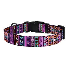 Нашийник Для Собак BronzeDog Urban Tribal Нейлоновий c Пластикової Пряжкою 25 мм 43-66 см (53/1384)