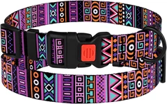 Нашийник Для Собак BronzeDog Urban Tribal Нейлоновий c Пластикової Пряжкою 25 мм 35-45 см (52/1384)