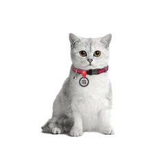 Нашийник для котів нейлоновий WAUCAT Nylon з QR паспортом малюнок "Кавун" пластиковий фастекс Ш 10 мм Дов 20-30 см