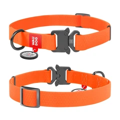 Collar Нашийник для собак водостійкий WAUDOG c QR паспортом, Ш 25 мм, Довжина 38-58 см, помаранчевий