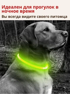 Grand Нашийник для собак світлодіодний вологостійкий USB юсб Жовтий 70 см