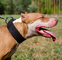 Класичний нашийник з натуральної шкіри Lockdog XL(56-70 см) 000239957