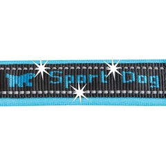 Нашийник для собак Ferplast Sport Dog С25/45 блакитний нейлоновий 2.5х35-45 см 78004025