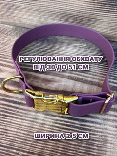 Без бренда Нашийник для собак біотановий із металевою фурнітурою 30-51 см колір фіолетовий