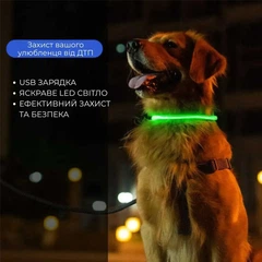 Supretto Світлодіодний LED нашийник для собак із зарядкою USB, червоний