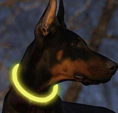 Світлодіодний нашийник для собак і котів Purlov 24200 з USB зарядкою — LED нашийник регульований