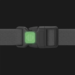 Нашийник для собак WAUDOG Waterproof з QR паспортом M 20 мм Чорний