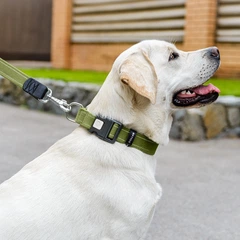 Нашийник для собак бавовняна тасьма CoLLaR Брезент, пластиковий фастекс, M, Ш 25 мм, Дл 33-49 см