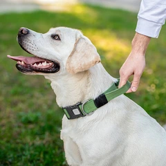Нашийник для собак з ручкою бавовняна тасьма CoLLaR Брезент, пластиковий фастекс, L, Ш 35 мм, Дл 53-69 см