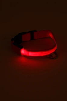 Без бренду Ошейник для собак No Brand LED ДМР1932 М 40-48х2.5 см Червоний (2000989398301)