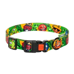 Hi Dog Нашийник ТМ HIDOG "Crazy green fruits" для собаки розмір XS (ширина 10мм обхват шиї 18-28см) арт. 101\1055