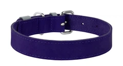 Нашийник шкіра 38-49 см 25 мм Waudog Classic Collar фіолетовий для собак