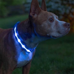 Без бренду Світлодіодний LED нашийник No Brand Blue S 11900-69329