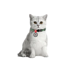 Нашийник для котів з відновленої бавовни WAUCAT Re-cotton з QR паспортом, світловідбиваючий, пластиковий фастекс, XS, Ш 10 мм, Дов 20-30 см, зелений 164218