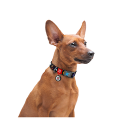 Нашийник для собак нейлоновий Collar WAUDOG Nylon з QR паспортом пластиковий фастекс Ш 15 ми Д 23-35 см малюнок NASA