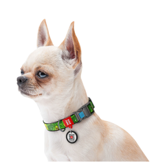 Нашийник для собак нейлоновий Collar WAUDOG Nylon з QR паспортом пластиковий фастекс Ш 15 ми Д 25-35 см малюнок Авокадо