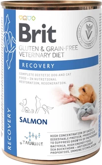Brit VD Влажный беззерновой корм Brit Veterinary Diet Recovery для кошек и собак в восстановительный период, лосось 400 г (8595602536191)