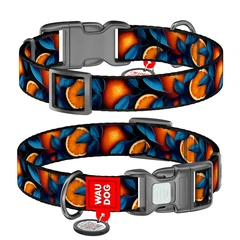 Нашийник для собак нейлоновий WAUDOG Nylon з QR паспортом, малюнок "Апельсини", пластиковий фастекс, S, Ш 15 мм, Дов 25-35 см 280-4054