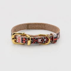 Hi Dog Нашийник для собак HIDOG 201-1034 XS (19-25 см) (2100103507012)(SN) shop (2100103507012)