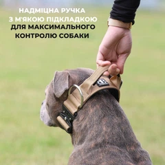 Тактичний нашийник для собак з ручкою та платиновим замком BullyBillows Combat Collar Handle Platinum 4 cm S: 40 мм, ОШ 40-50 см Помаранчевий