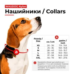Нашийник для собак нейлоновий WAUDOG Nylon з QR паспортом, світлонакопичувальний/світловідбивний, металева пряжка-фастекс, Ш 25 мм, Дов 37-58 см блакитний (52202)