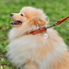 Нашийник для собак WAUDOG шкіряний Soft з QR паспортом, круглий, Д 8 мм, Д 20-25 см, коричневий